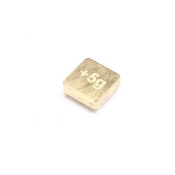 TLR Brass Pivot Weight: 22X