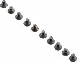 M2.5 x 4mm FH Screws (10)