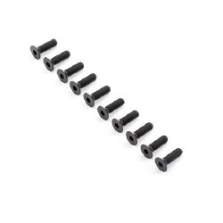 Flat Head Screws, M6x20mm (10)