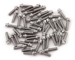 Scale Beadlock Ring Screw Kit (Stainless) (50)