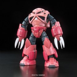 #16 MSM-07S Z'Gok Char's Custom RG Model Kit