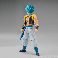 Super Saiyan God Super Saiyan Gogeta Figure-rise Standard Model Kit, from Dragon Ball Super