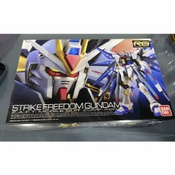 RG #14 1/144 ZGMF-X20A Strike Freedom Gundam 'Gundam SEED Destiny'