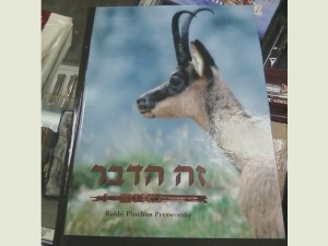 Animals Of The Torah