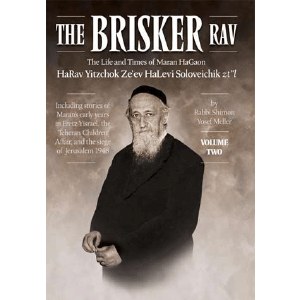 The Brisker Rav - Vol 2