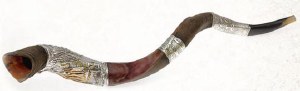 Yemenite SILVER Shofar XL