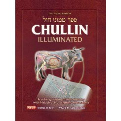 Chullin Illuminated, Revised