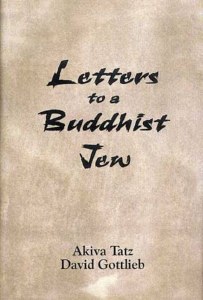 Letters to a Buddhist Jew