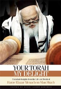 Your Torah, My Delight