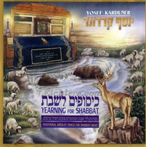 Yosef Karduner-Yearning