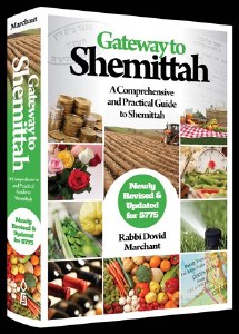 Gateway to Shemittah