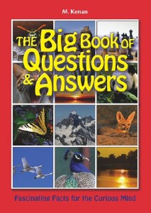 Big Book of Questions & Answer