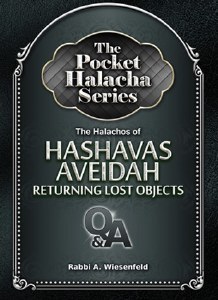 Pocket Halacha: Hashavas Aveid