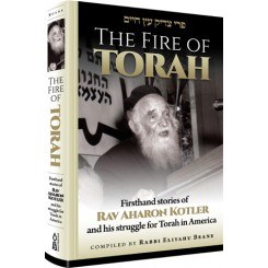 The Fire of Torah: Rav Kotler
