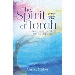 Spirit of Torah