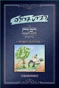 Ribbis Berurah (Hebrew)