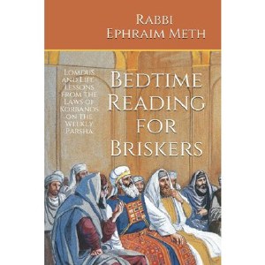 Bedtime Reading for Briskers