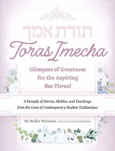 Toras Imecha