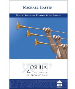 Joshua: The Challenge of the P