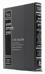 Mesoras Harav Bereishis