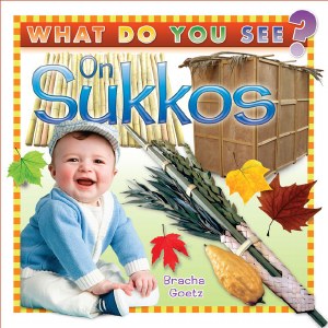 What Do You See On Sukkos?