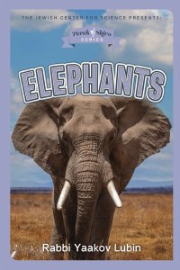 Perek Shirah Seies: Elephants!