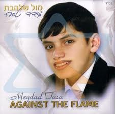MeydadTasa - Against The Flame