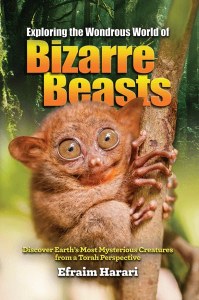 Exploring Bizarre Beasts