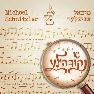 Michoel Schnitzler - A Nekidel
