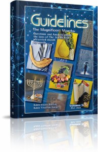 Guidelines: Magnificent Months