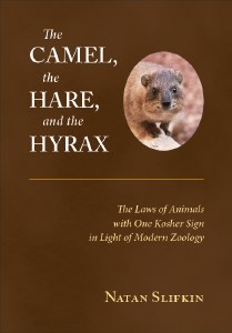 The Camel, The Hare, The Hyrax