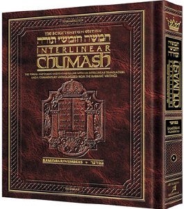 INTERLINEAR CHUMASH/BAMIDBAR