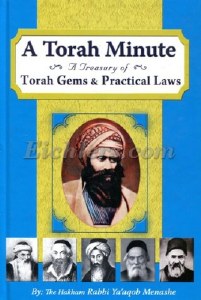 A Torah Minute
