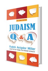 Judaism Q&A Hardcover