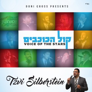 Silberstein -Voice Of The Star