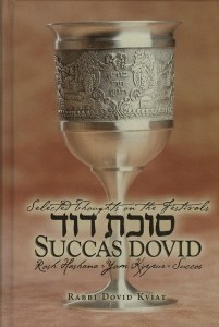 Succas David - Festivals - V1