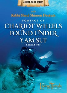 Chariot wheels found Yum Suf