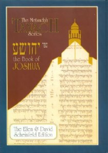 Metsudah Joshua