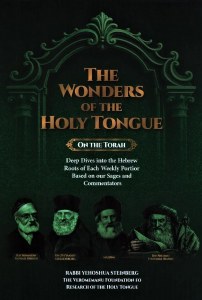 Wonders of the Holy Tongue