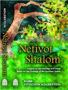 Netivot Shalom, Insights on Ho