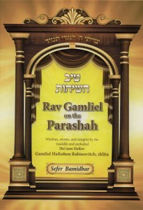 Rav Gamliel- Bamidbar