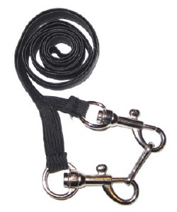Shabbos Belt