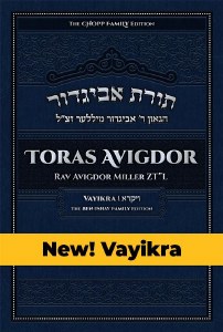 Toras Avigdor-Moadim #1