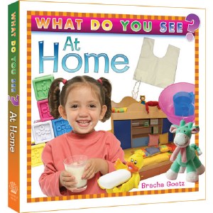 What Do You See At Home?