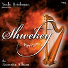 Yaakov Shwekey- Kumzitz Album