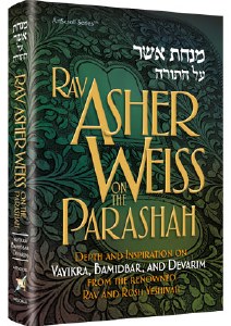 Rav Asher Weiss On Parsha 2