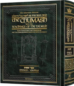 Teachings of Talmud - Vayikra