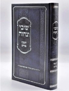Shuvi V'nechze-Chanuka & Purim