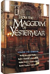 The Maggidim of Yester:Bereis