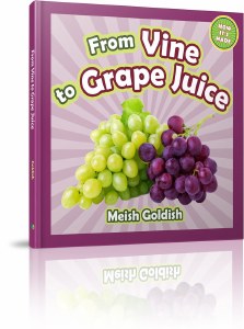 From Vine to Grape Juice